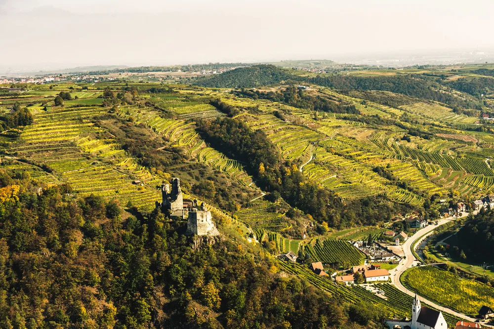 Weingut Nigl — photo 55
