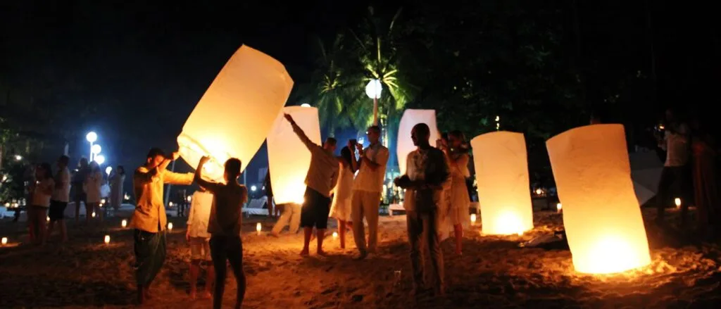 Ficus, Ban Khao Lak