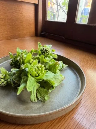 Le Monde Gourmand, Tokyo