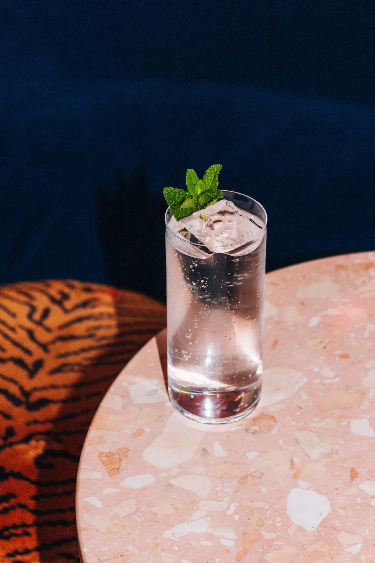 Tipsy Tiger — photo 36