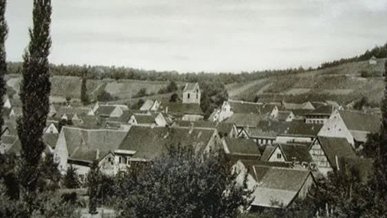 Gasthof Ochsen — photo 4