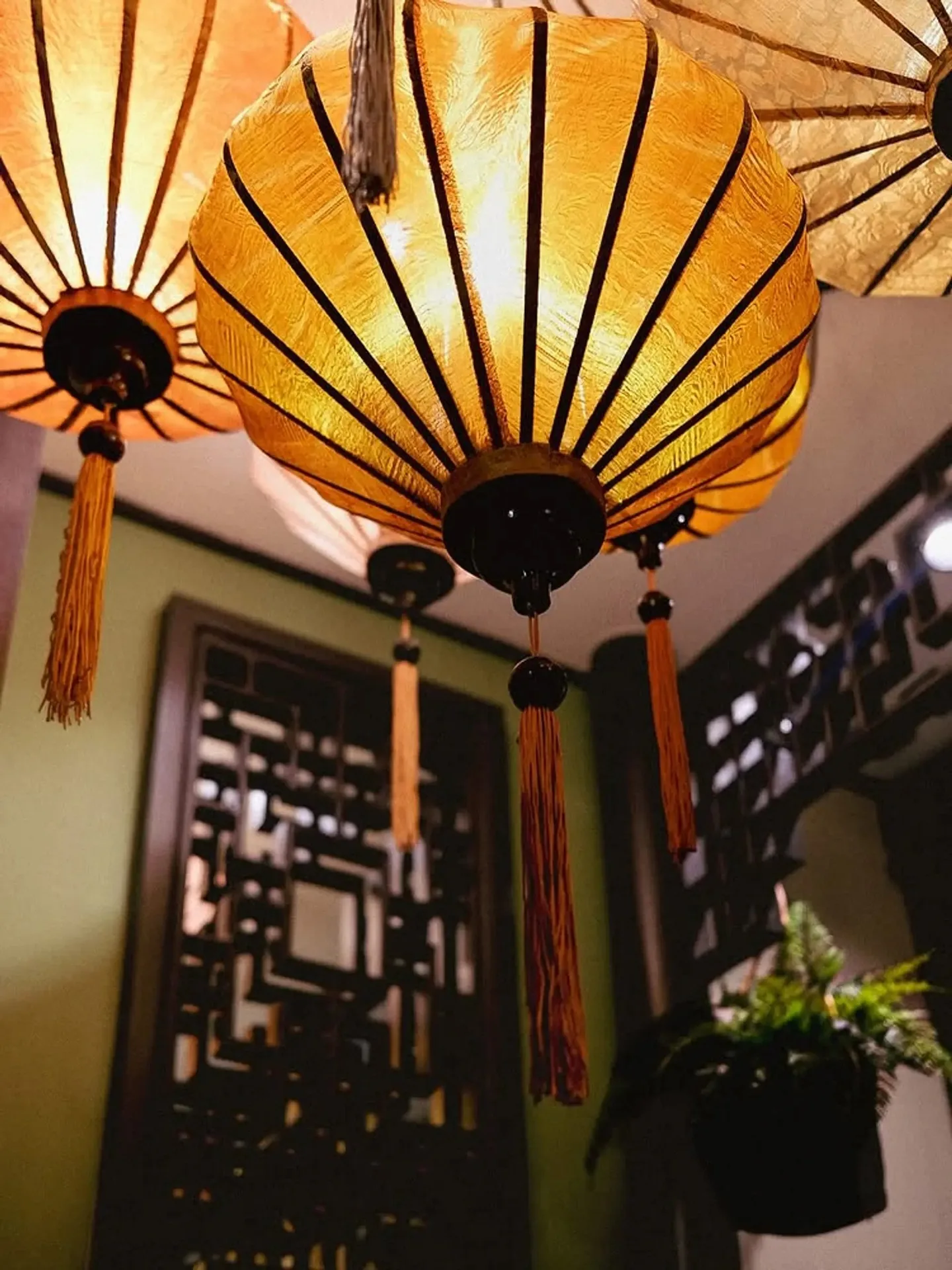 Comme au Vietnam — photo 15