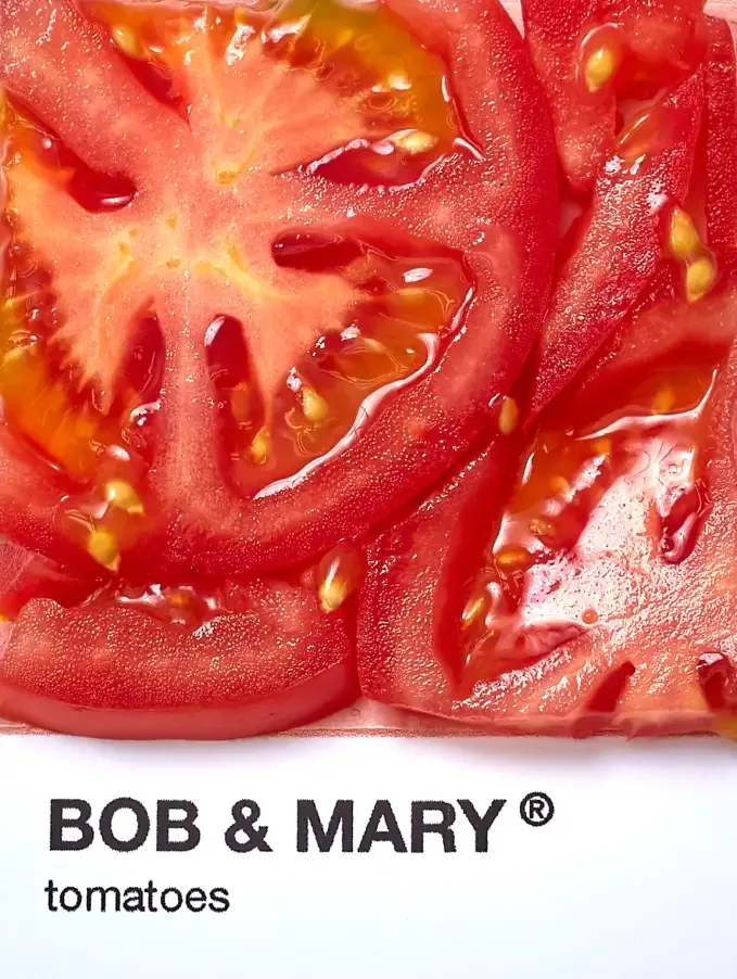 Bob &amp; Mary — photo 35