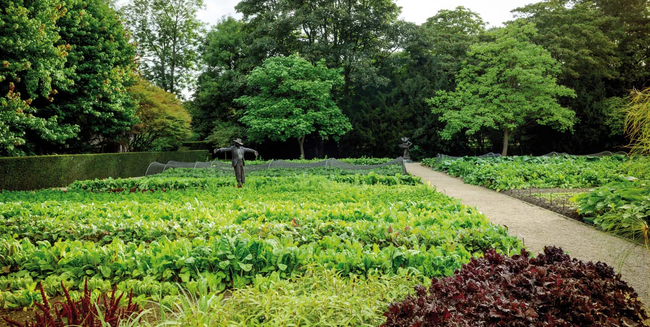 Le Manoir aux Quat'Saisons — photo 31