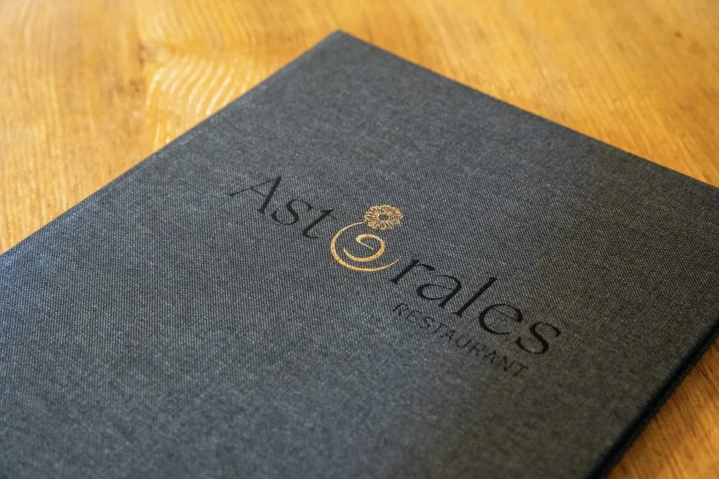 Asterales — photo 15