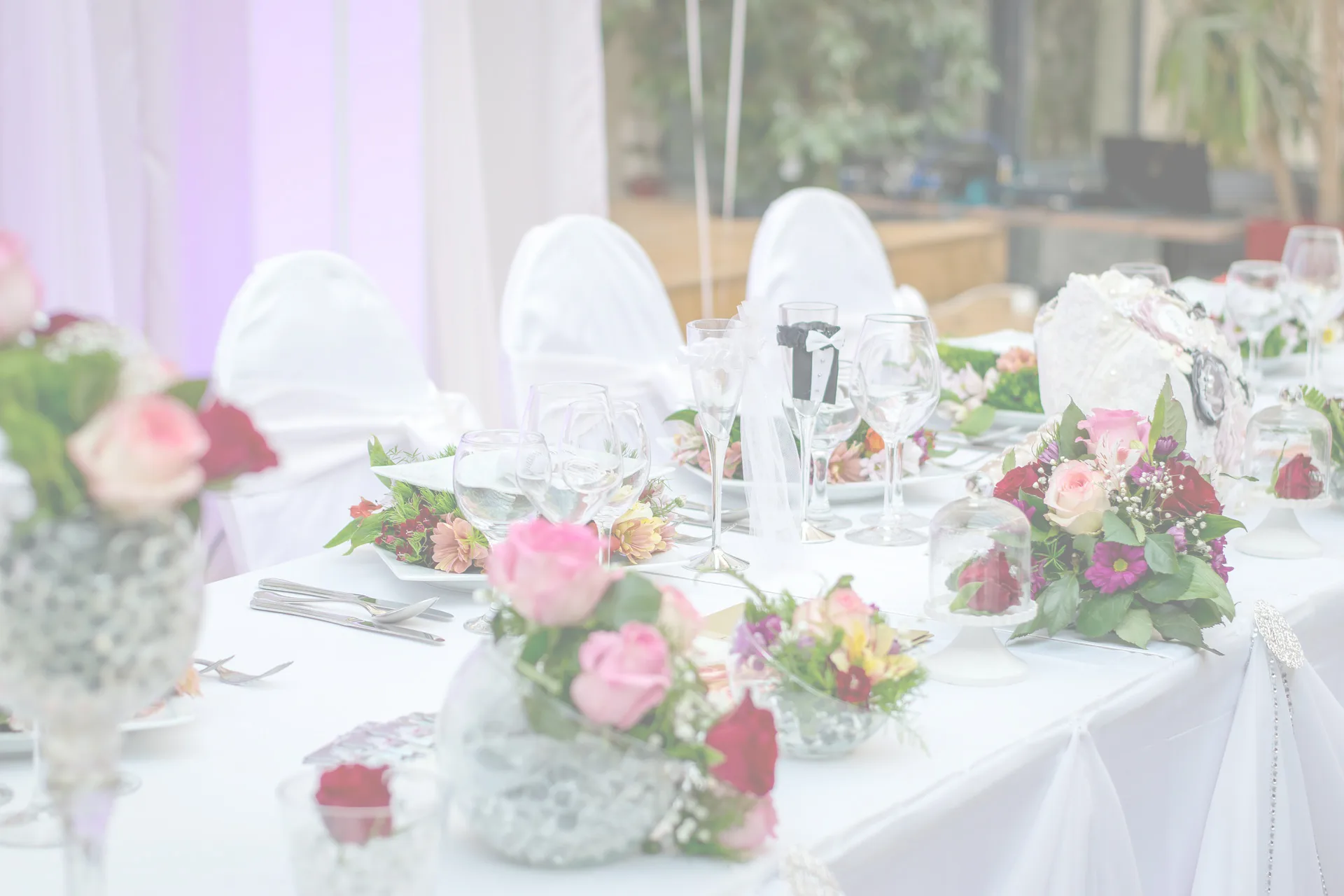 Lou im Cavalierhaus — photo 12