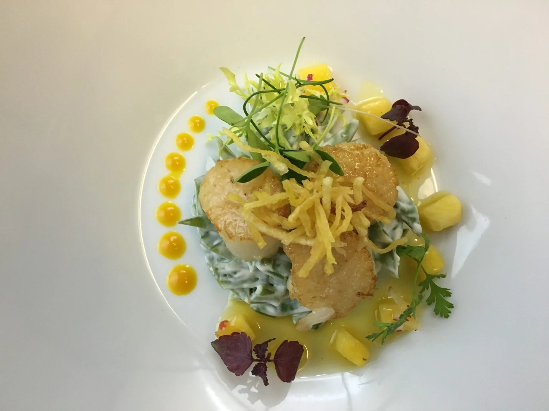 Restaurant Hessischer Hof — photo 17