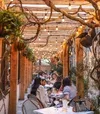 Osteria — atmosphere