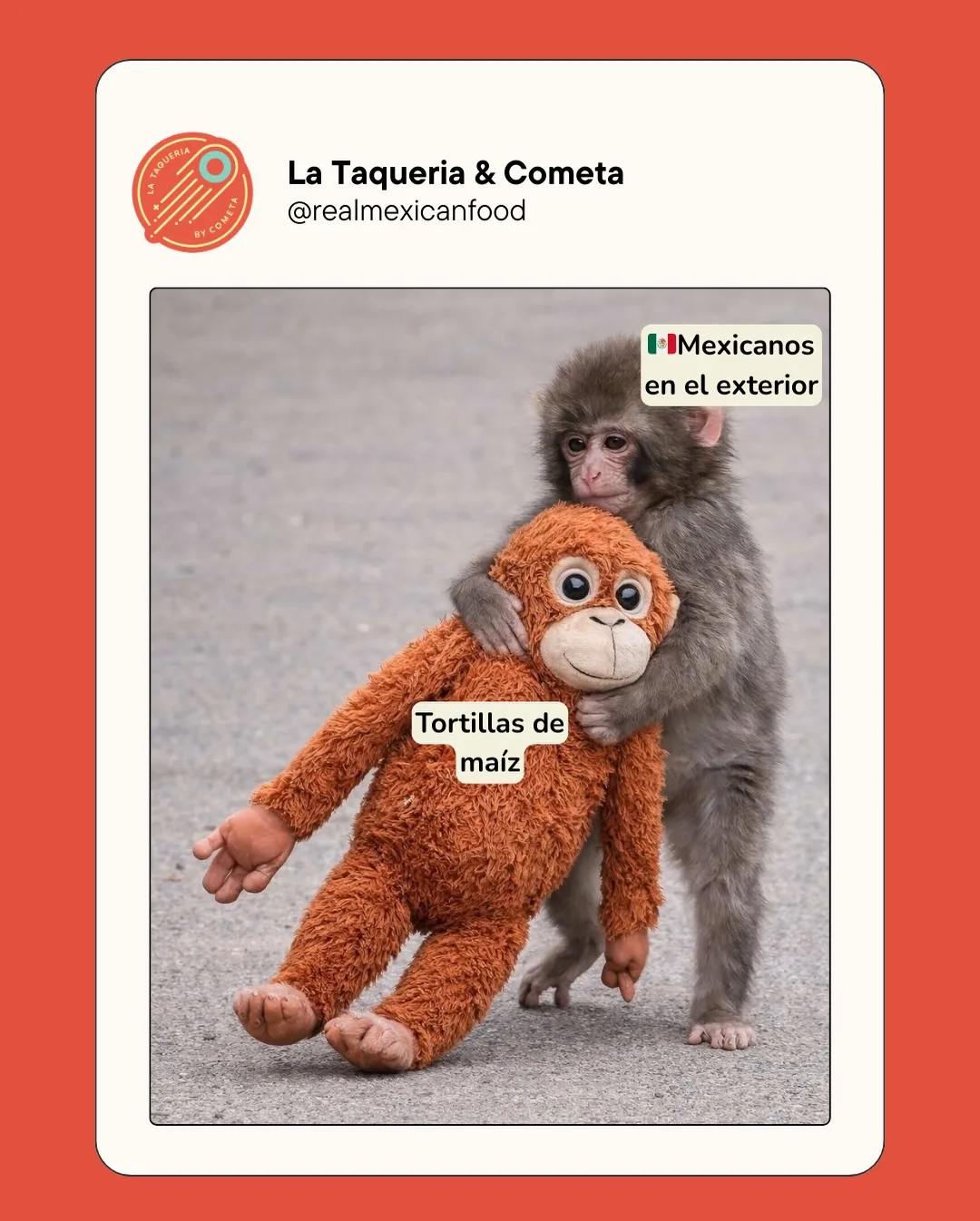 La Taquería by Cometa — photo 17