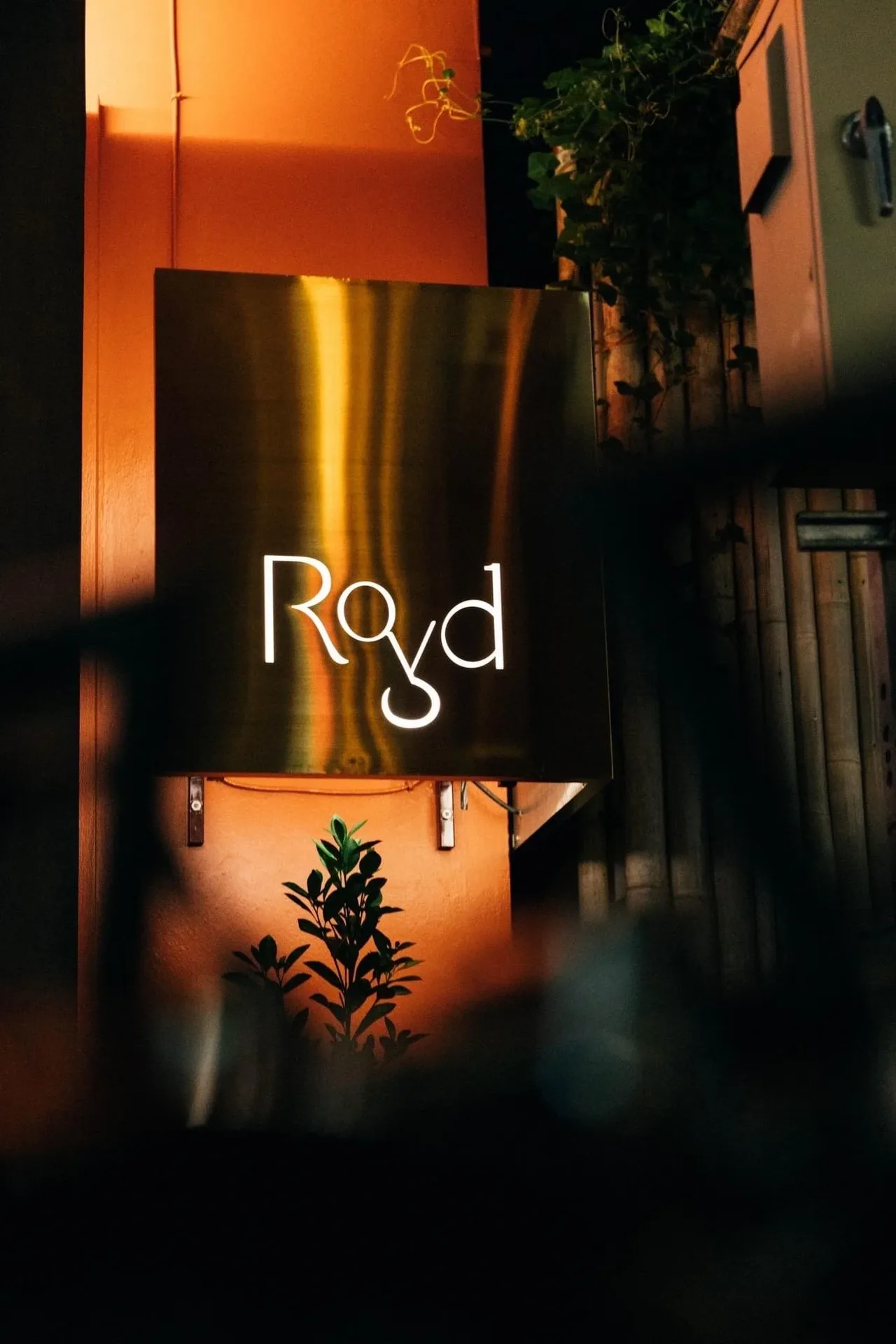 Royd — photo 24