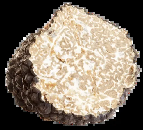 Le Pétrocore — photo 15