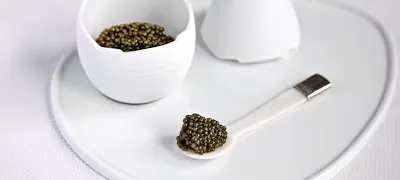 Salt — food
