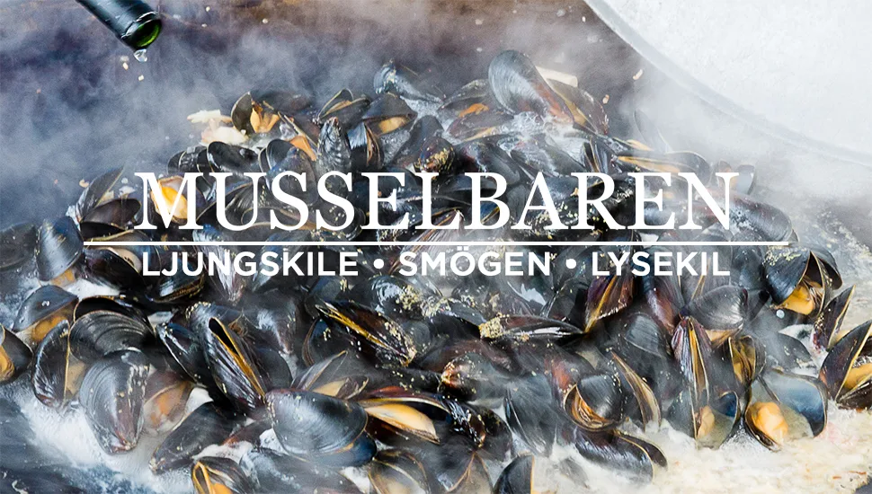 Musselbaren Lyckorna — photo 5