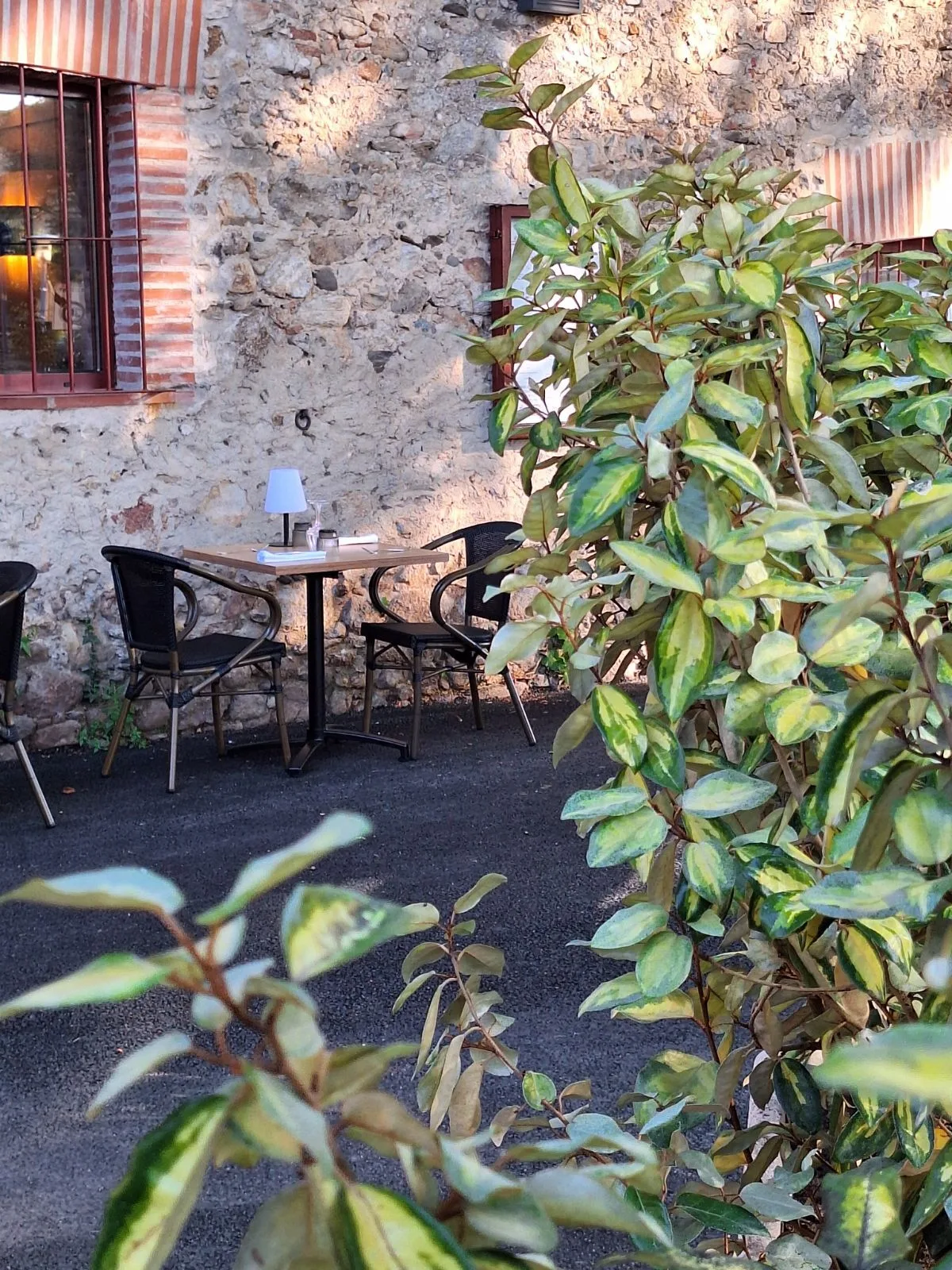 Le Relais de la Massane — photo 21