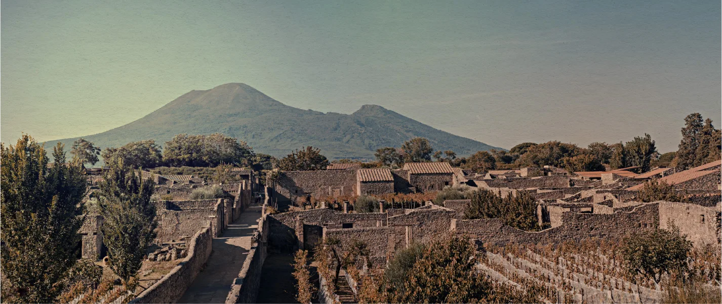 Vecchio Forno — photo 8