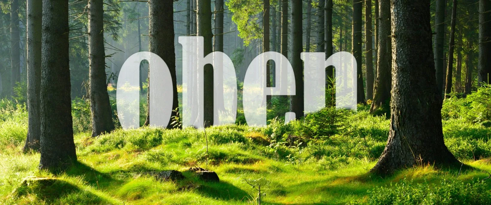 Oben — photo 9