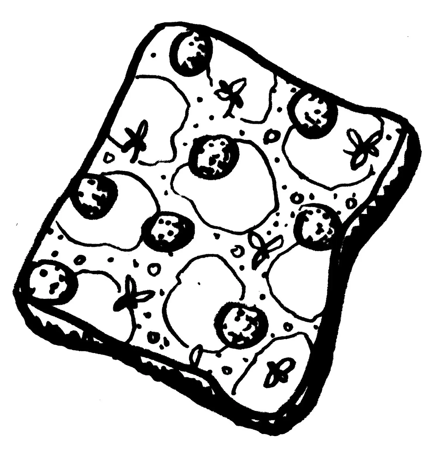 Pizza Friendly Pizza — photo 4