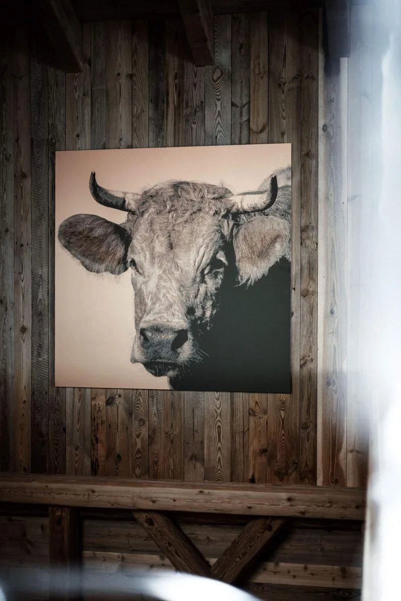 Gamskogelhütte Fine Dining by Stefan Lastin — photo 15