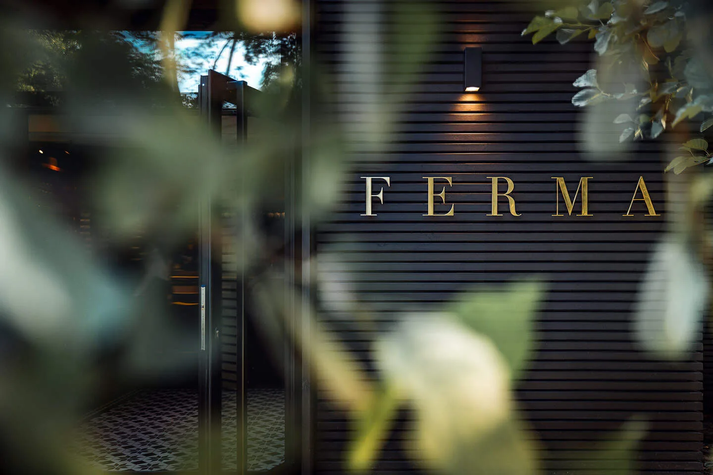 Ferma — photo 7