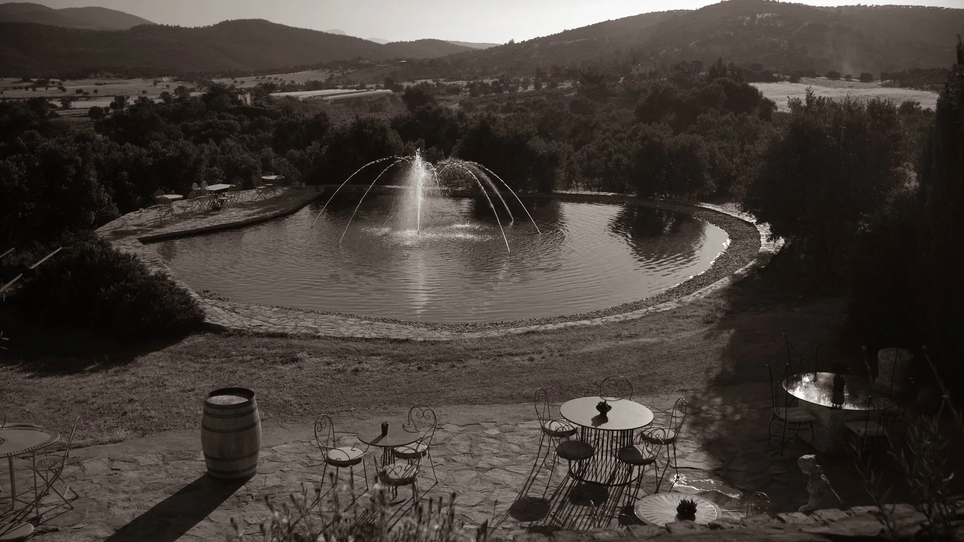 Karnas Vineyards — photo 9