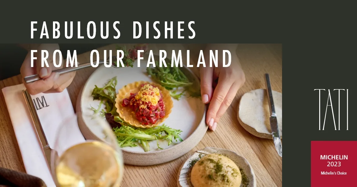 TATI Farm to Table — photo 25