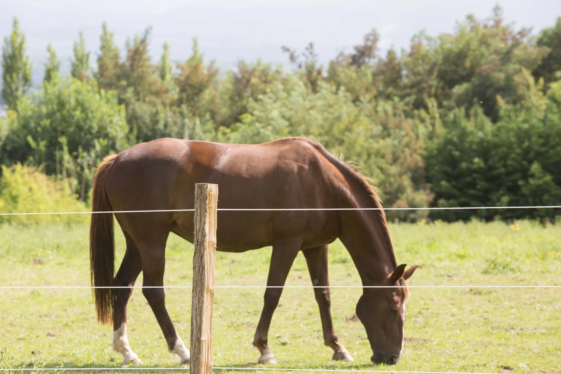 Marius — atmosphere