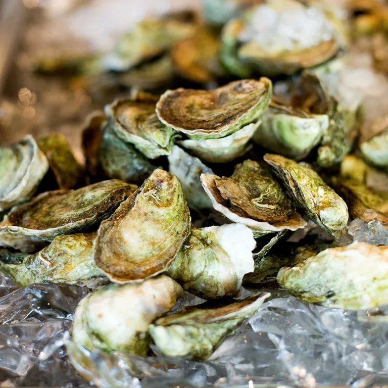 Matunuck Oyster Bar — photo 47