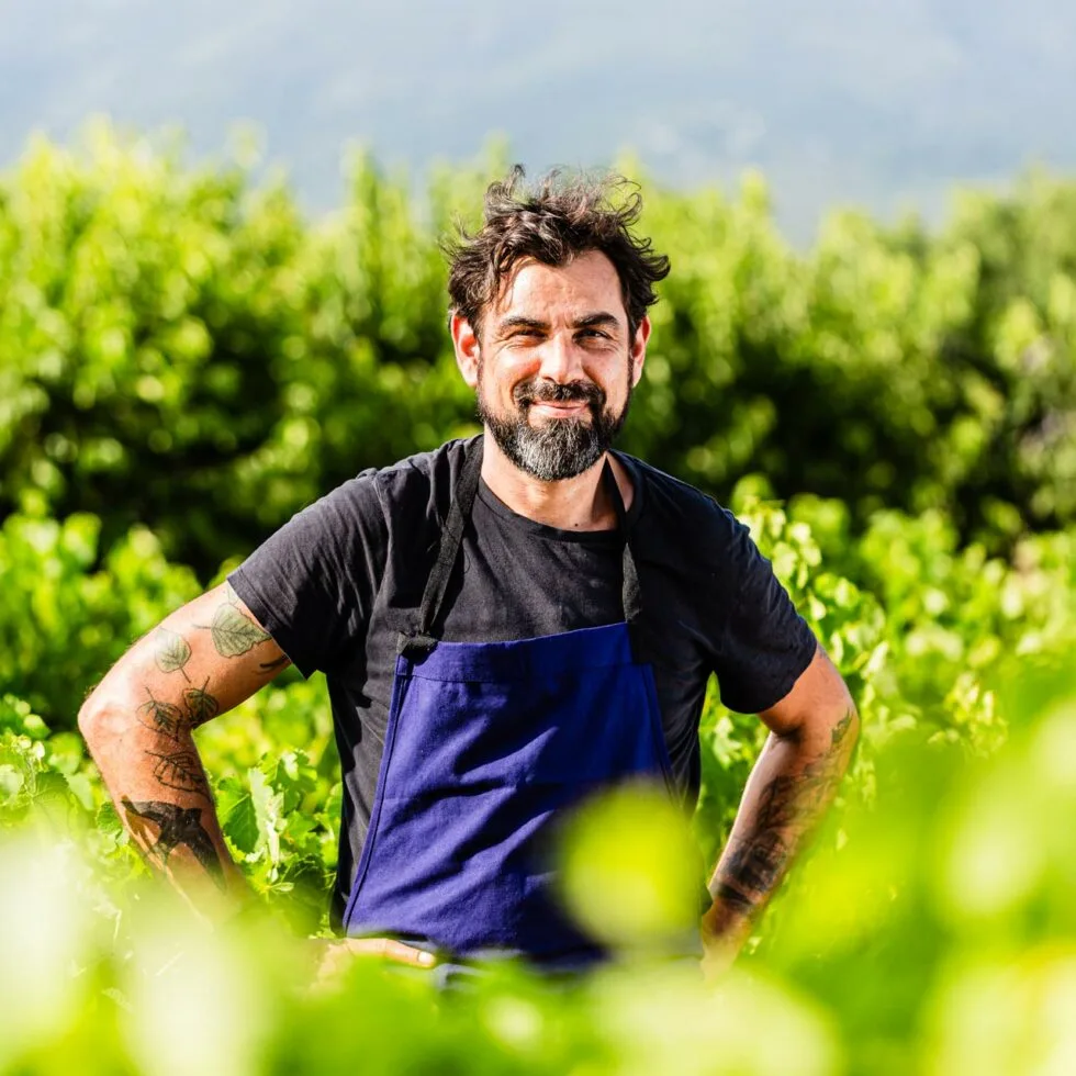 La Colombe, Bédoin