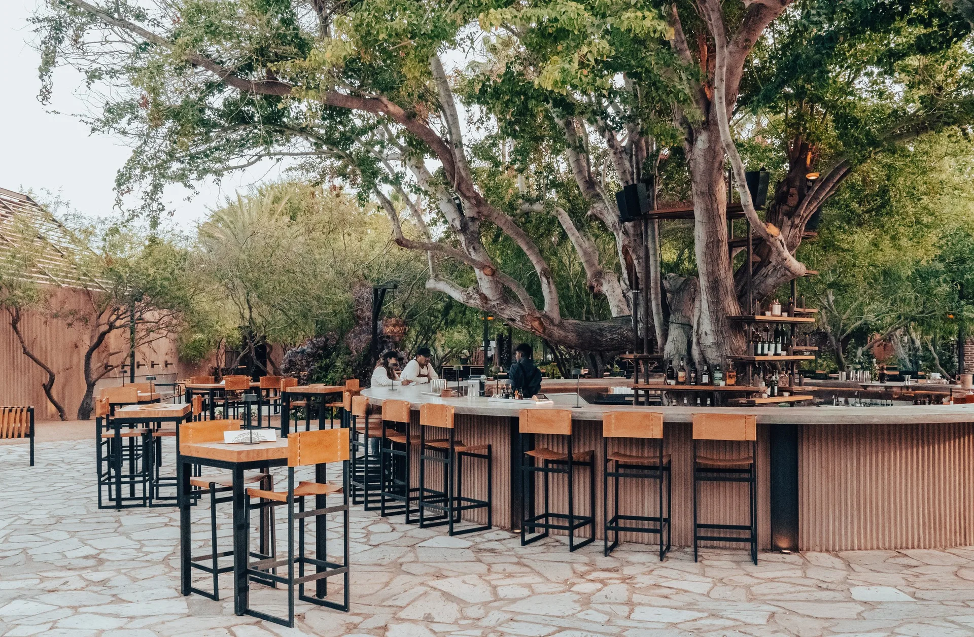 LÍMO Heritage Kitchen at Suelo Sur — photo 5
