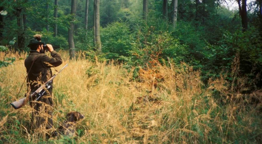 Waldhotel Schinkenwirt — photo 7