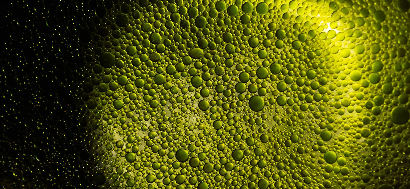 Materia — photo 30