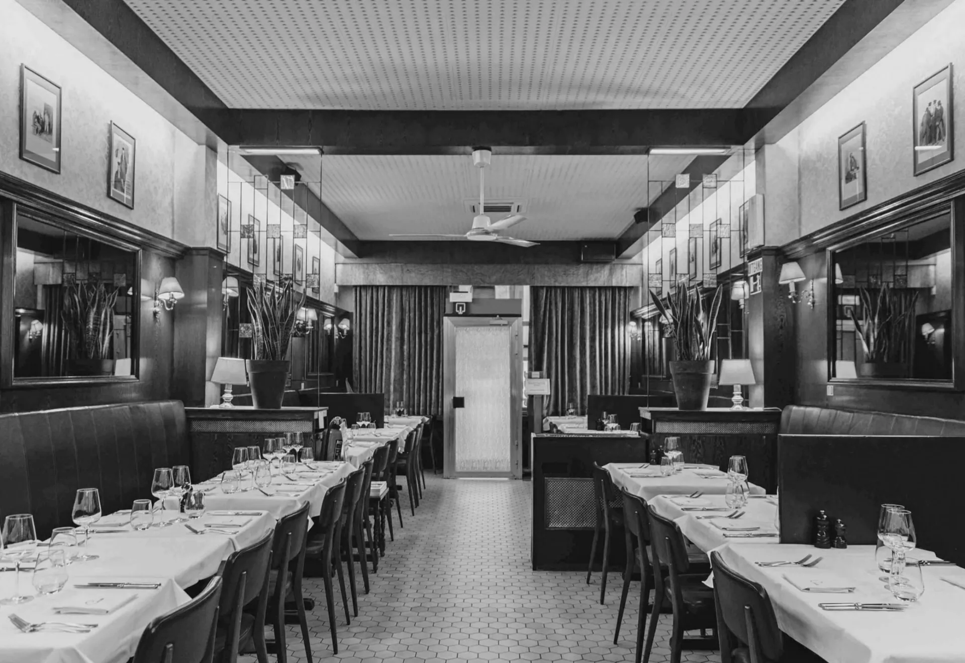 Ciro's — photo 22
