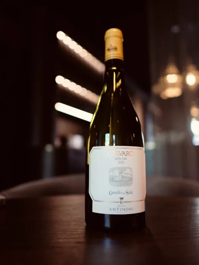 Restaurant Chocolat — drink