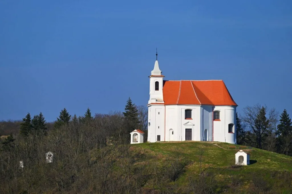Kounický dvůr — photo 30