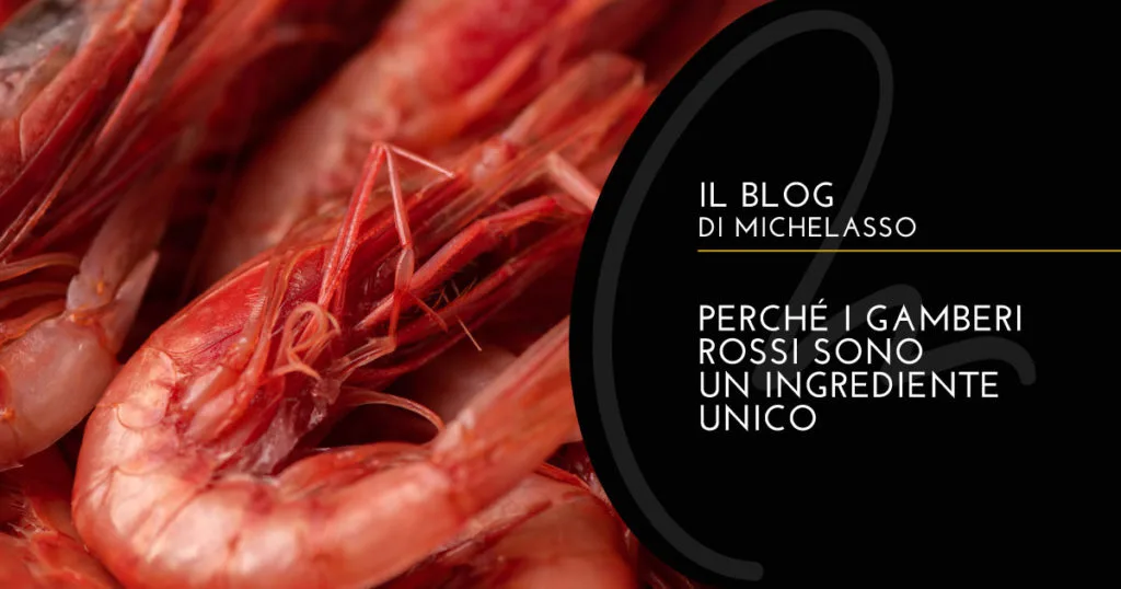 Michelasso — photo 9