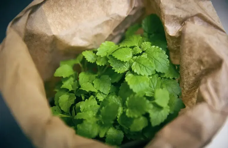 Le Lièvre Gourmand — photo 4