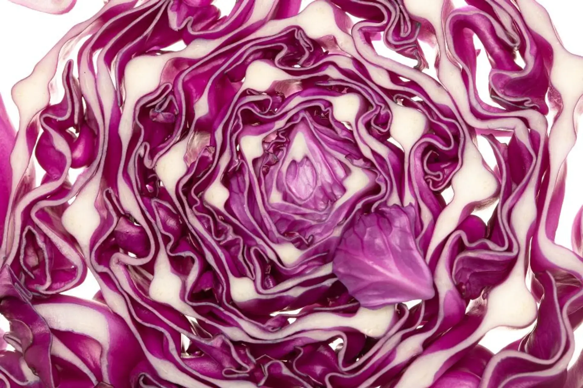 Locavore NXT — photo 23