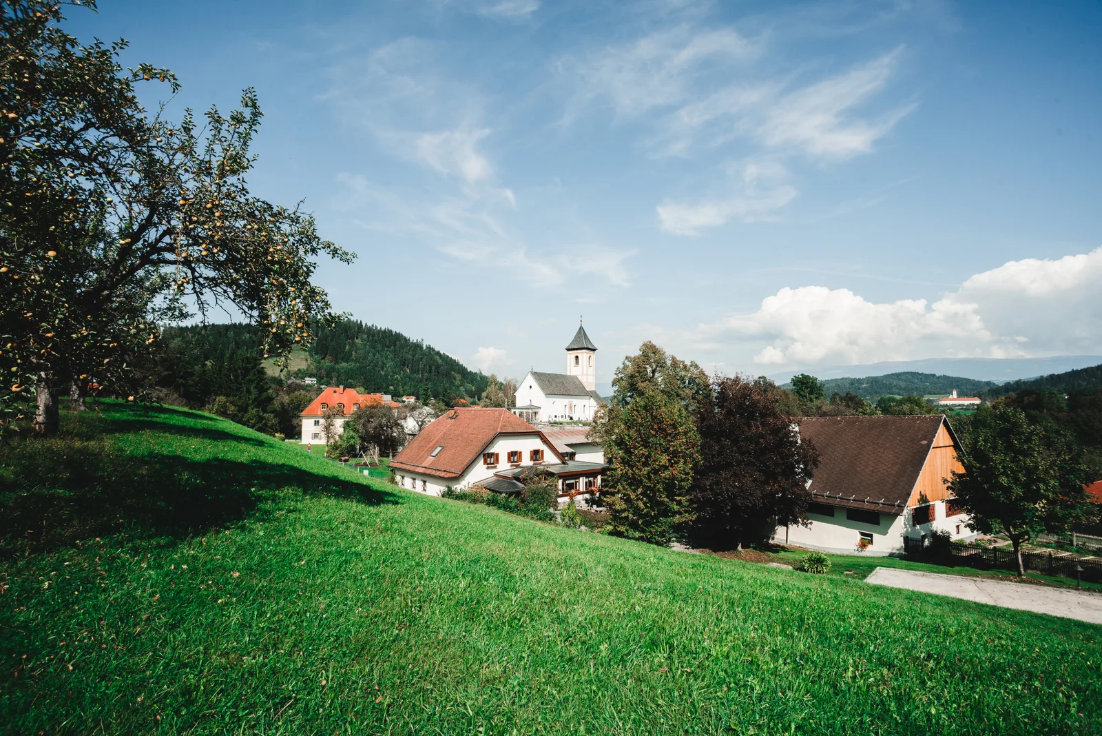 Liegl am Hiegl — photo 5