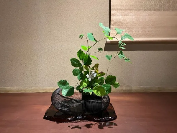 WATAYA — photo 43