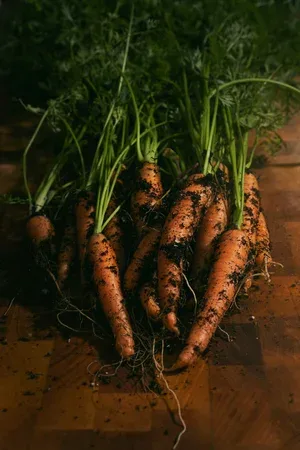 Rabarbergaarden — food