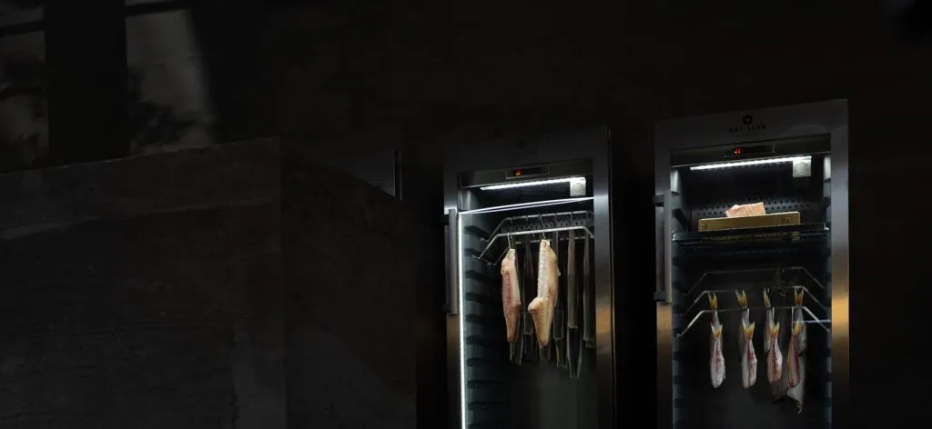 DOJO 2.0 — photo 34
