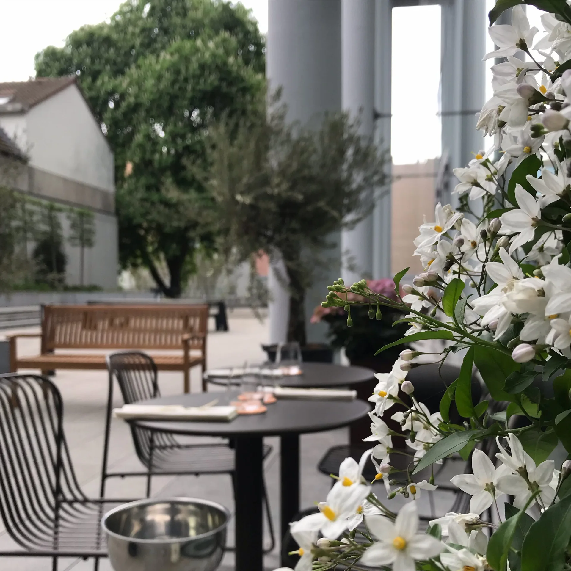 Gioia — photo 15