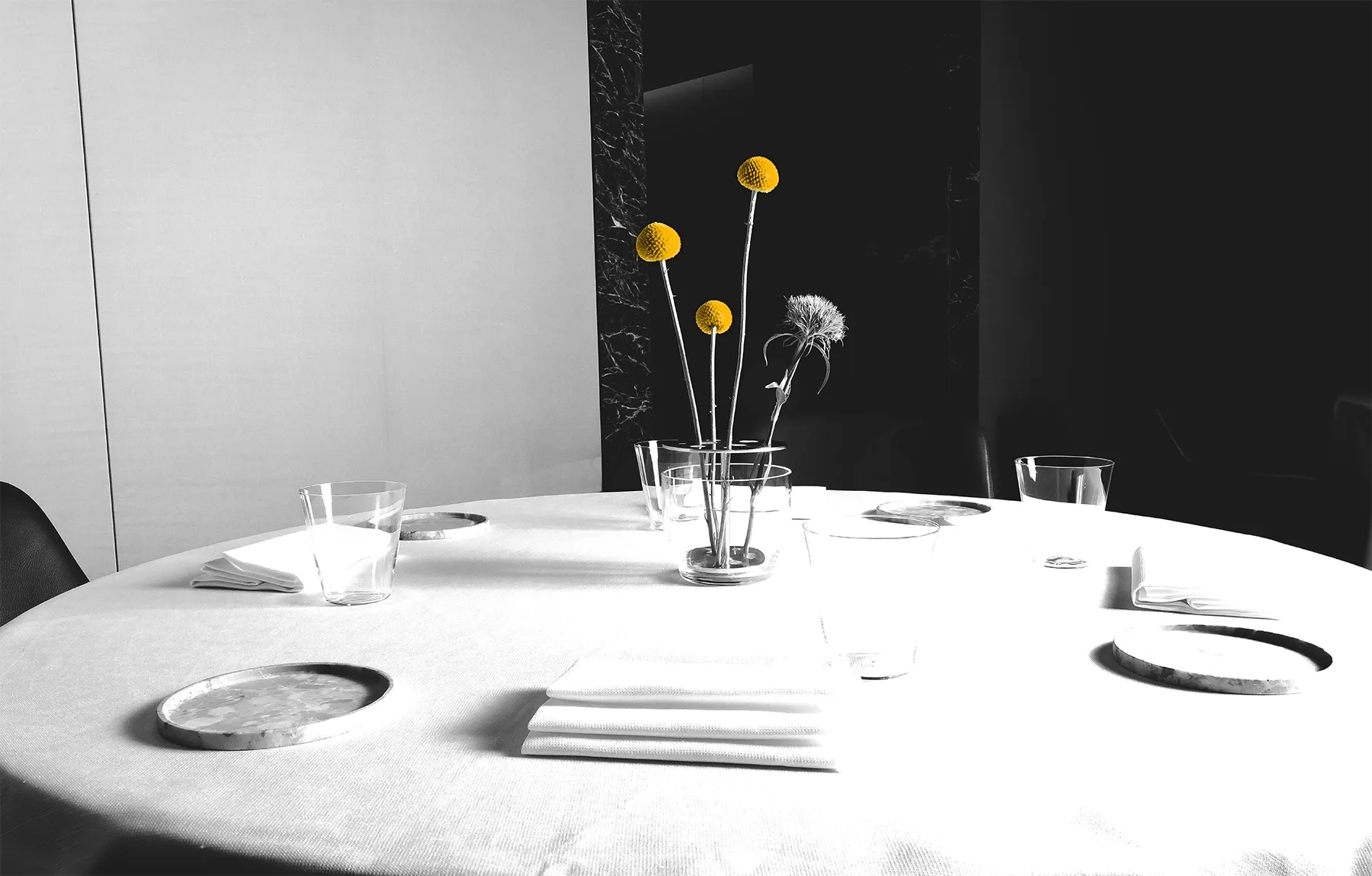 ARIA — photo 9