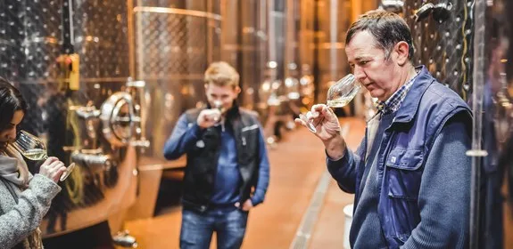 Weingut Nigl — photo 10