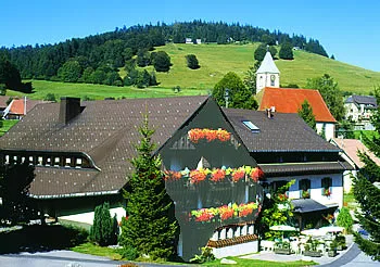 Restaurant Mühle zu Gersbach — photo 7