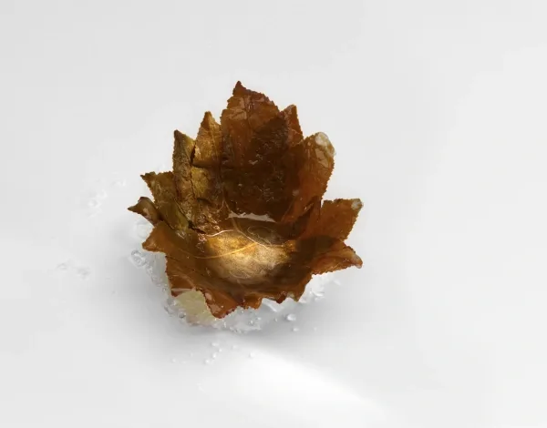 Mugaritz — photo 15