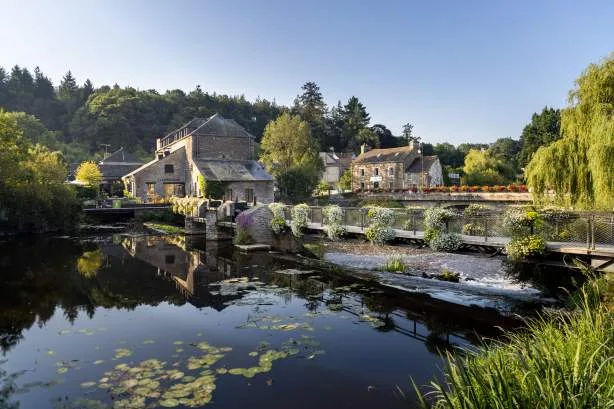 Les Jardins Sauvages - La Grée des Landes — photo 27