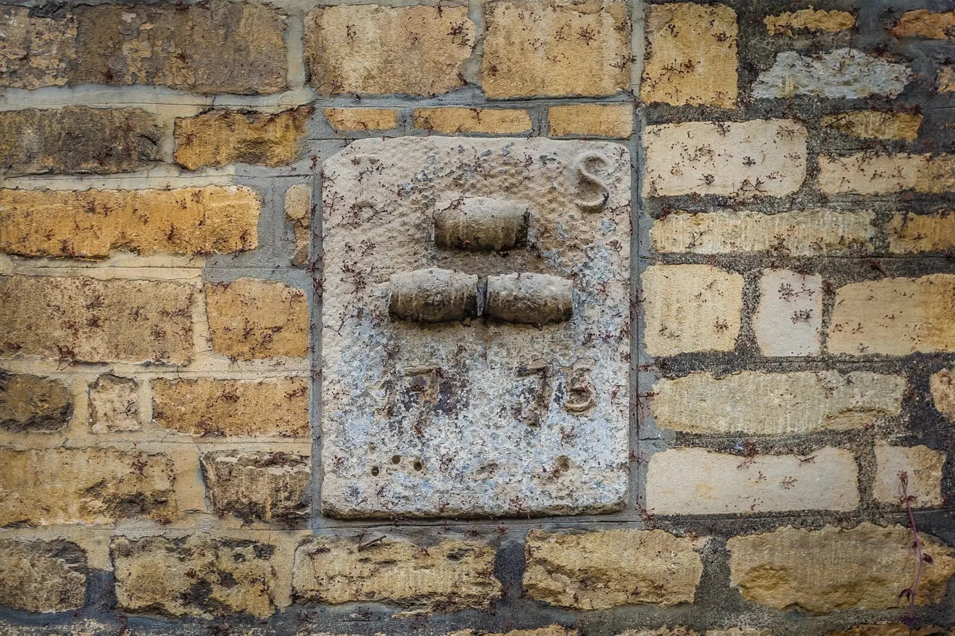 The Talbot — photo 71