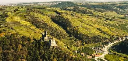Weingut Nigl — photo 9