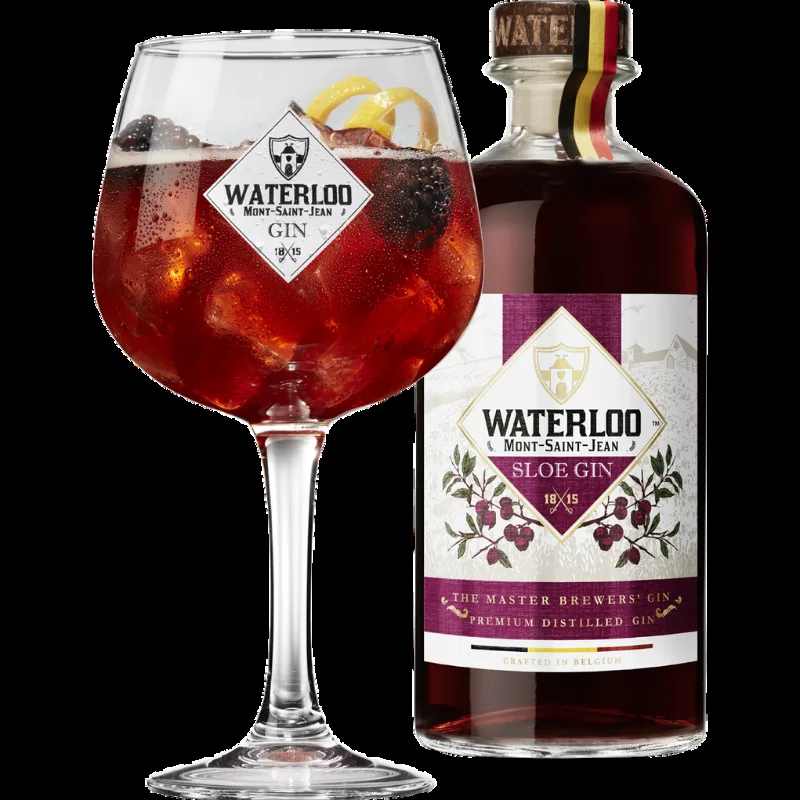 Brasserie de Waterloo — drink